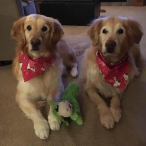 Meet your Posher, Colleen